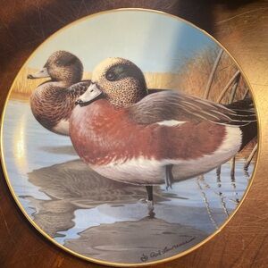 American Widgeon Decorative Plate